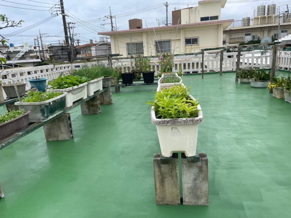 沖縄市　T様